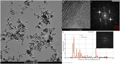 Zinc oxide nanoparticles application alleviates salinity stress by modulating plant growth, biochemical attributes and nutrient homeostasis in Phaseolus vulgaris L